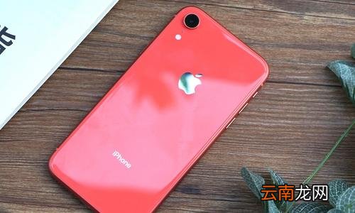 iphonexr中搜索照片具体操作方法