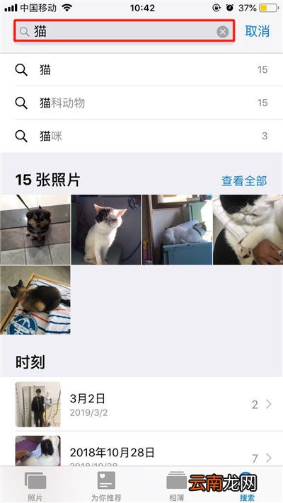 iphonexr中搜索照片具体操作方法