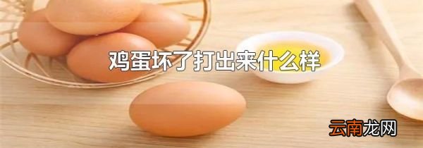 鸡蛋坏了打出来什么样