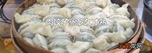 肉饺子蒸多久才熟
