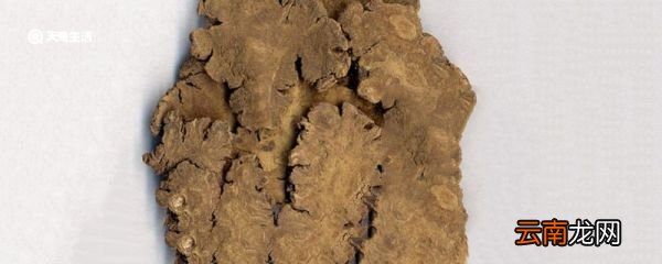 川芎的功效与作用 川芎有什么功效