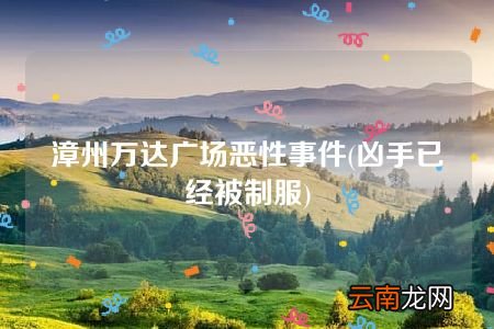 凶手已经被制服 漳州万达广场恶性事件