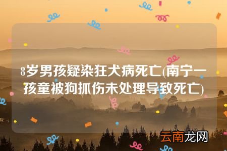南宁一孩童被狗抓伤未处理导致死亡 8岁男孩疑染狂犬病死亡