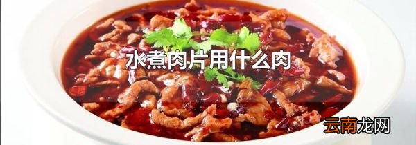 水煮肉片用什么肉