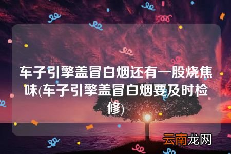 车子引擎盖冒白烟要及时检修 车子引擎盖冒白烟还有一股烧焦味