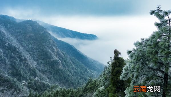 山清山是江西什么地方 山清山是在江西什么地方