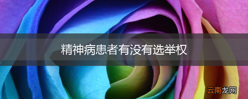 精神病患者有没有选举权
