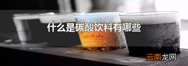 什么是碳酸饮料有哪些