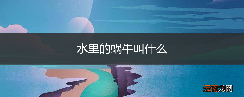 水里的蜗牛叫什么