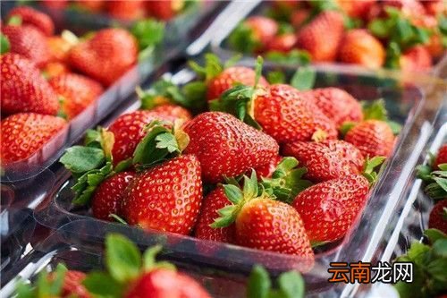 草莓怎么洗