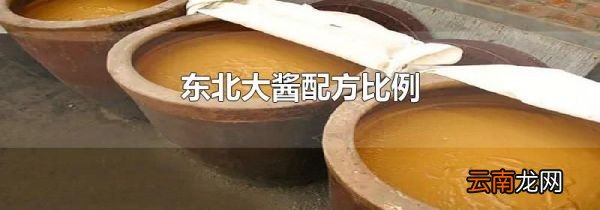 东北大酱配方比例