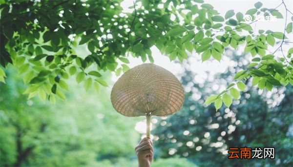 仲夏是几月 仲夏是几月份的