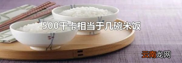 500千卡相当于几碗米饭