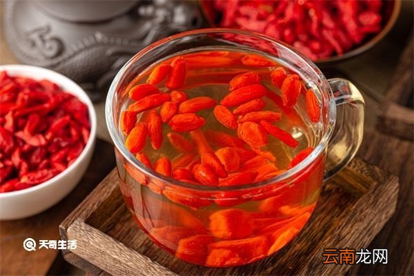 杭白菊枸杞子茶功效 杭白菊枸杞子茶的功效
