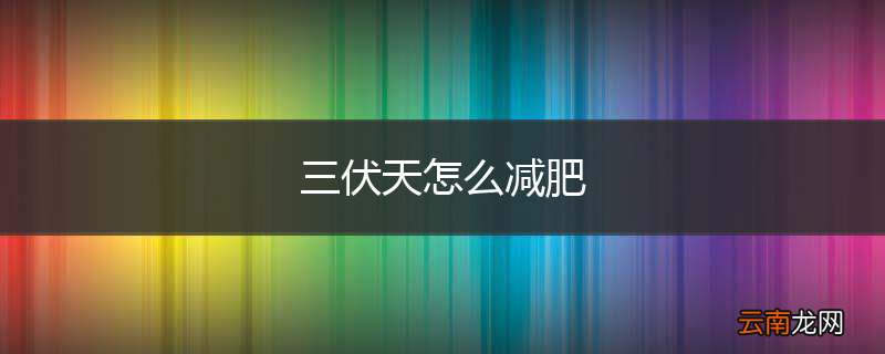 三伏天怎么减肥