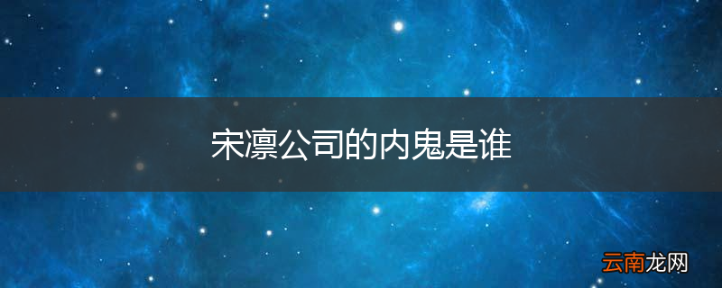 宋凛公司的内鬼是谁