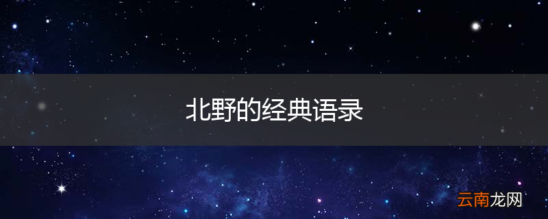 北野的经典语录