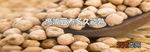 鹰嘴豆煮多久能熟