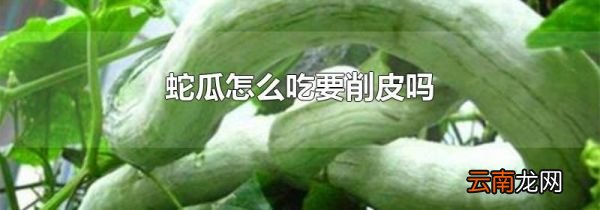 蛇瓜怎么吃要削皮吗