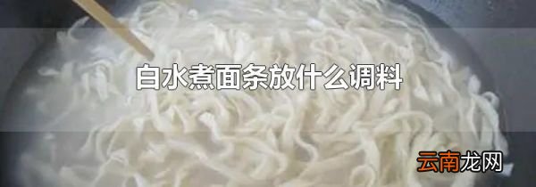 白水煮面条放什么调料