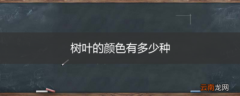 树叶的颜色有多少种