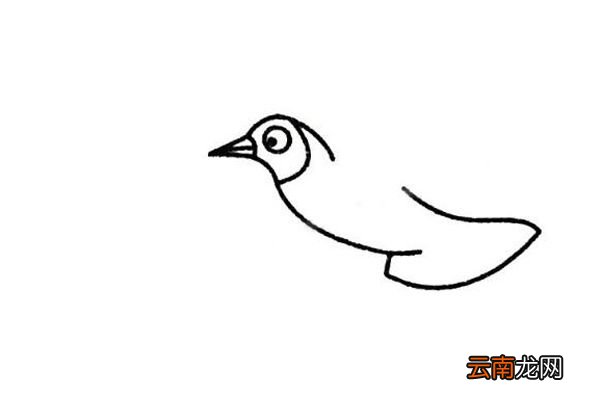 海鸥怎么画漂亮又简单 最简单的海鸥简笔画