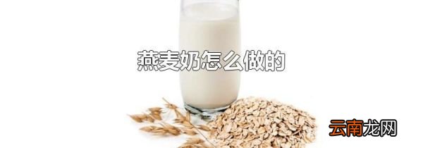 燕麦奶怎么做的