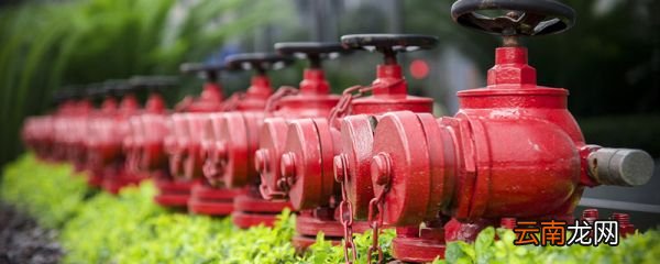 电器着火正确扑救方法是什么 电器着火正确扑救方法是啥