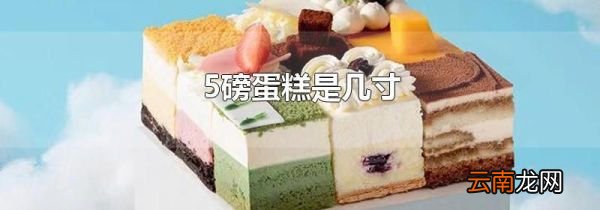 5磅蛋糕是几寸