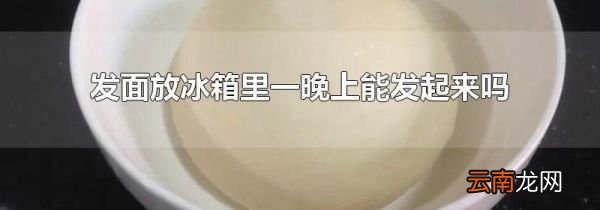 发面放冰箱里一晚上能发起来吗