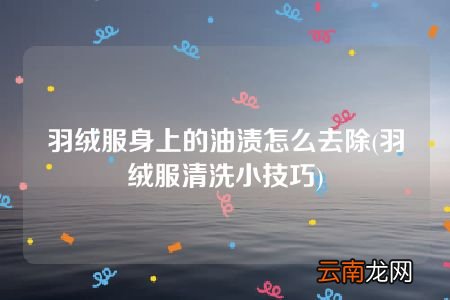 羽绒服清洗小技巧 羽绒服身上的油渍怎么去除