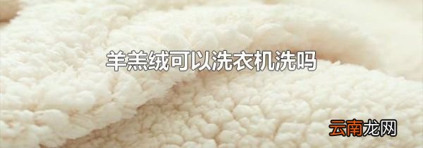 羊羔绒可以洗衣机洗吗