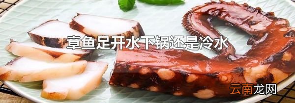 章鱼足开水下锅还是冷水