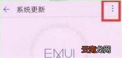 华为nova4e中将系统自动更新关闭具体操作方法