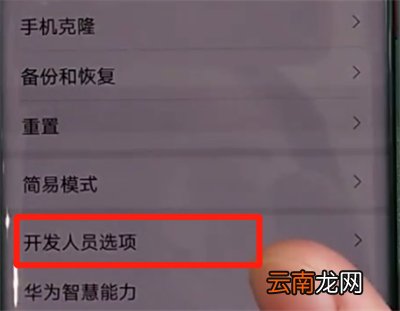 华为mate30pro中关闭开发人员选项的操作教程