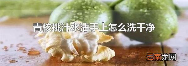 青核桃汁水沾手上怎么洗干净