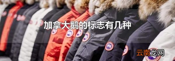 加拿大鹅的标志有几种
