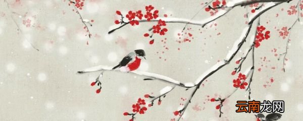 梅花香自苦寒来全诗句 梅花香自苦寒来古诗