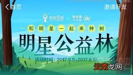 蚂蚁森林极限3小时种树挑战是什么？支付宝蚂蚁森林极限3小时种树怎么玩？