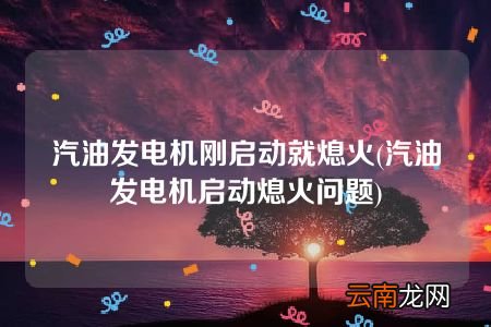 汽油发电机启动熄火问题 汽油发电机刚启动就熄火