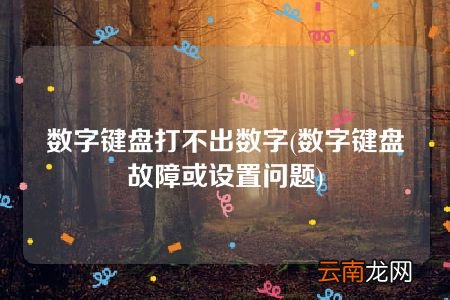 数字键盘故障或设置问题 数字键盘打不出数字