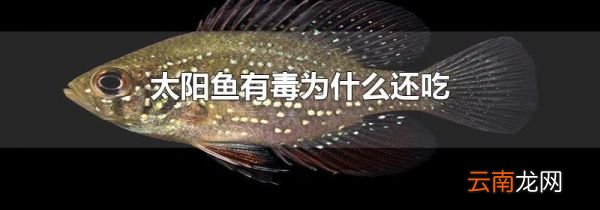 太阳鱼有毒为什么还吃