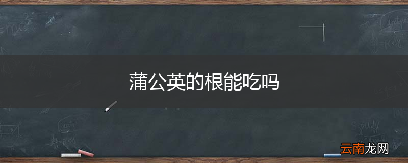蒲公英的根能吃吗