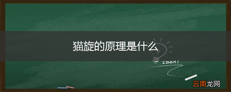 猫旋的原理是什么