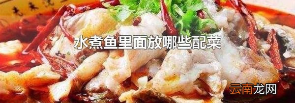 水煮鱼里面放哪些配菜