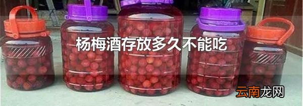 杨梅酒存放多久不能吃