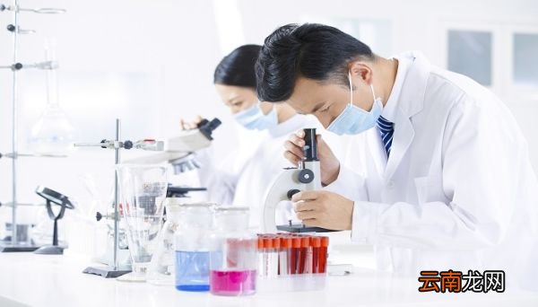 细胞核的作用是什么细胞核的功能是什么