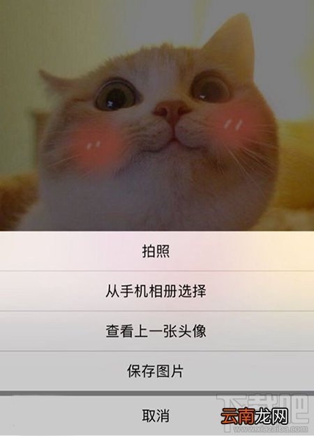 微信头像还是喜欢上一张图片？微信一键换回上一张头像