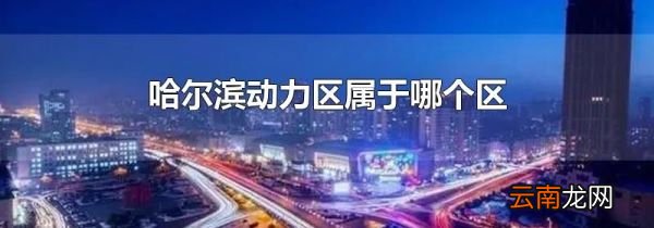 哈尔滨动力区属于哪个区