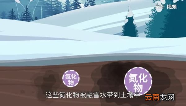 为什么说瑞雪兆丰年 为什么常说瑞雪兆丰年